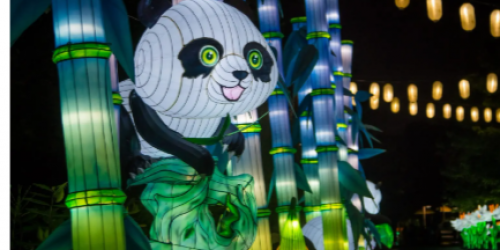 Tianyu&#x20;Lights&#x20;Festival