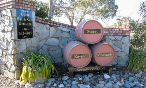 Secret Ravine Vineyard & Winery