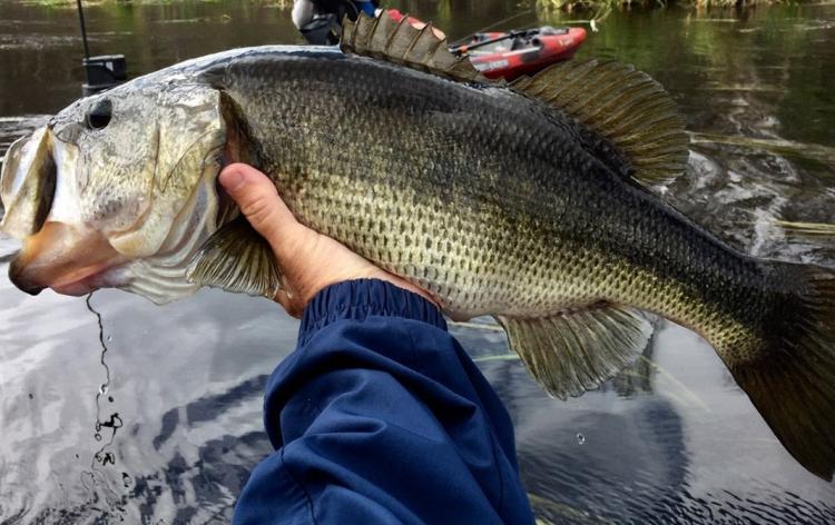 Kayak Bass Fishing - Placer Valley Tourism